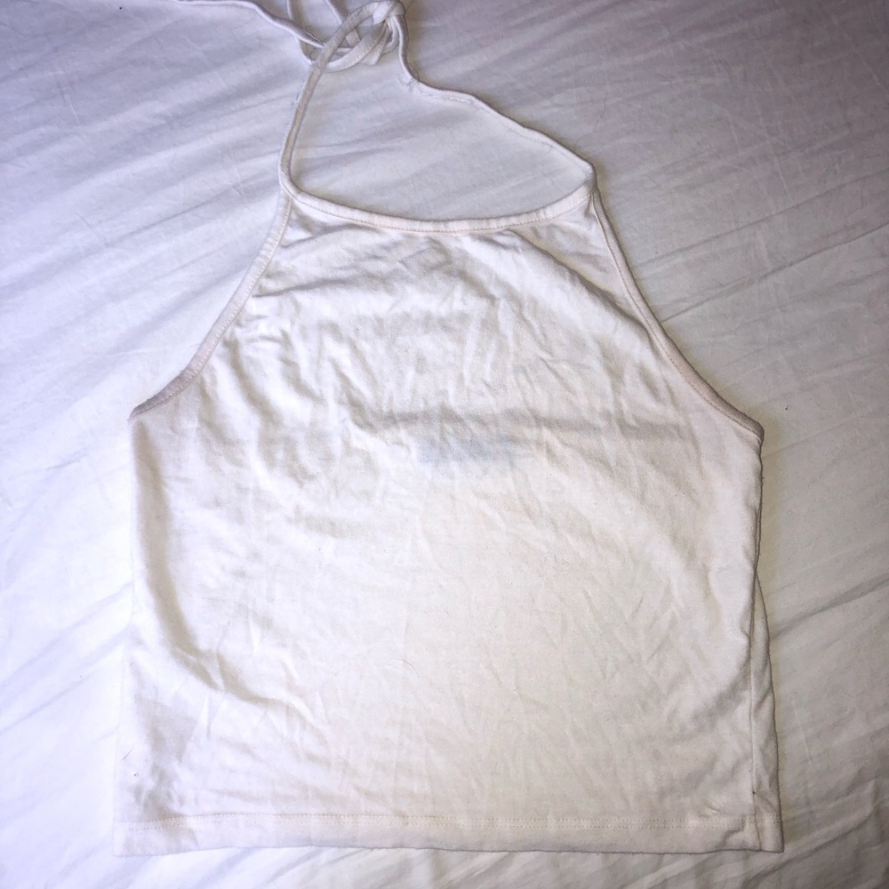 Brandy Melville Crop Top